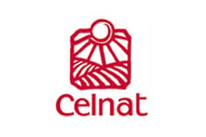 Celnat